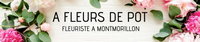 A FLEURS DE POT